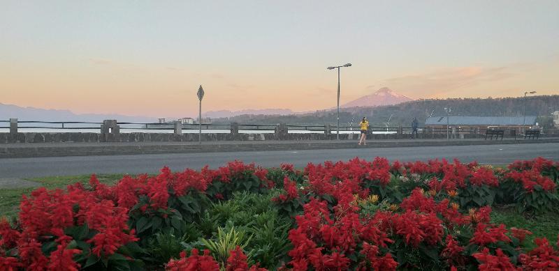 Hotel Suenos Del Volcan 比亚里卡 外观 照片